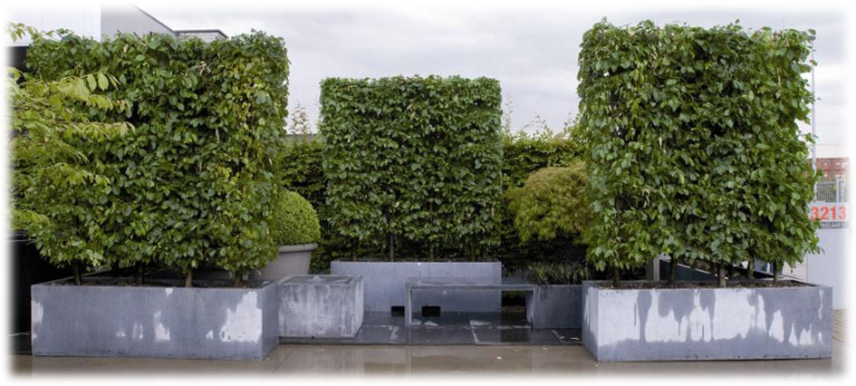 Bacs et Jardinières Domani